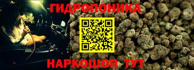 амф Кимры