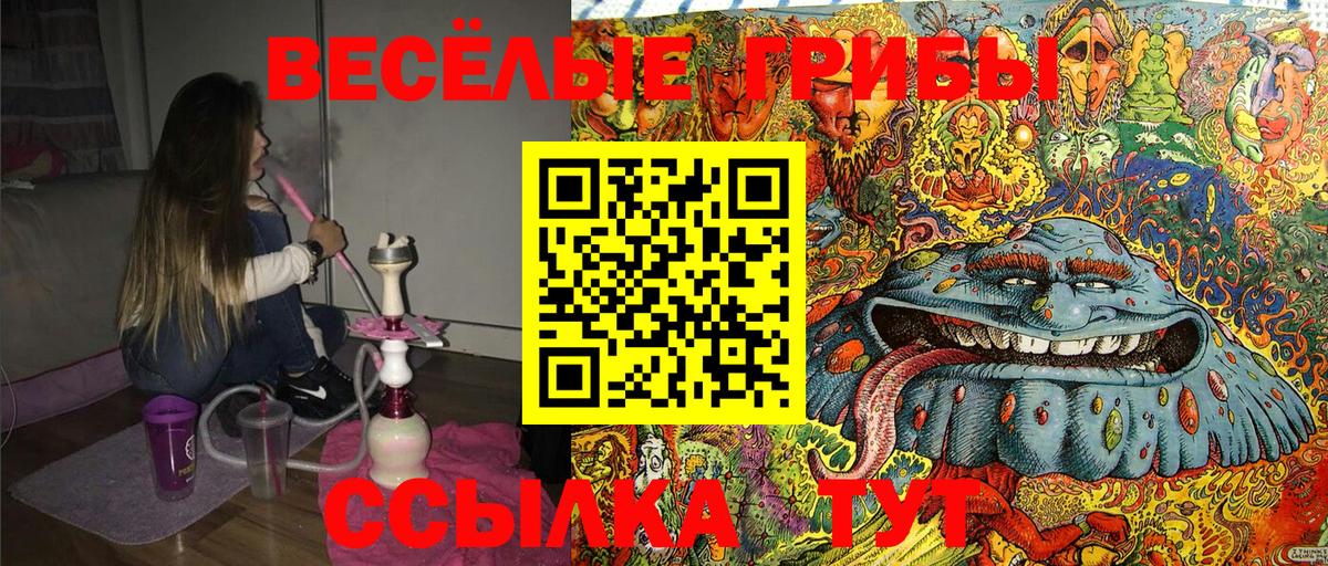 сколько стоит  Галлюциногенные грибы MAGIC MUSHROOMS  Вход с VPN  Дивногорск 